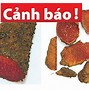 Học Bốc Thuốc Đông Y