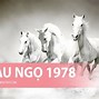 Nữ 1978 Năm 2024 Mệnh Gì