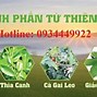 Thảo Dược Thuận Thiên Shop Ở Đâu Tphcm Ở Đâu Bán